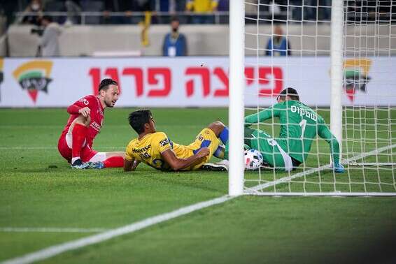 צילום: עמי שומן