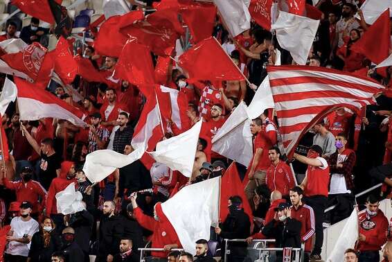 צילום: אלן שיבר