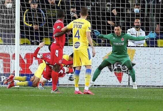 צילום: אלן שיבר