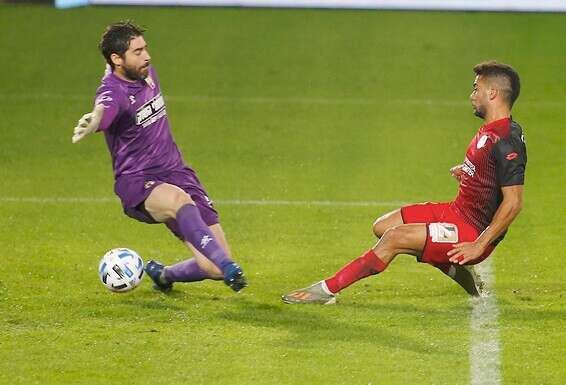 צילום: אלן שיבר