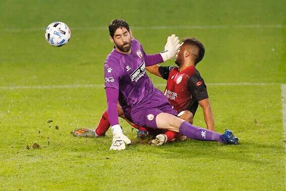 צילום: אלן שיבר