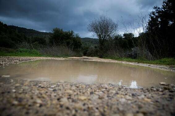 נחל שורק אתמול // צילום: אורן בן חקון