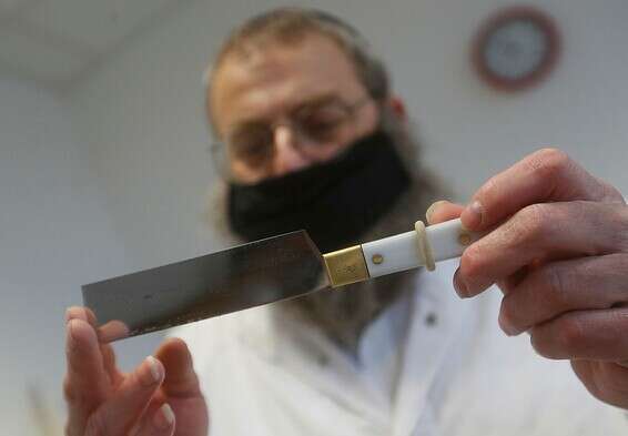 רב אורתודוקסי בבית מטבחיים הונגרי // צילום: איי.פי