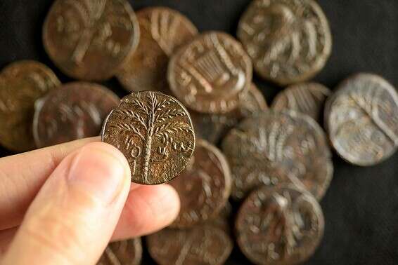 מטמון נדיר מתקופת בר כוכבא // צילום: דפנה גזית, רשות העתיקות