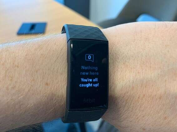 צילום: ליאור פלג