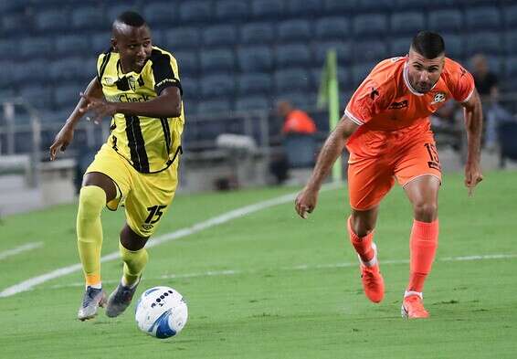 "העזיבה של קינדה - מכה מקצועית" // צילום: דני מרון