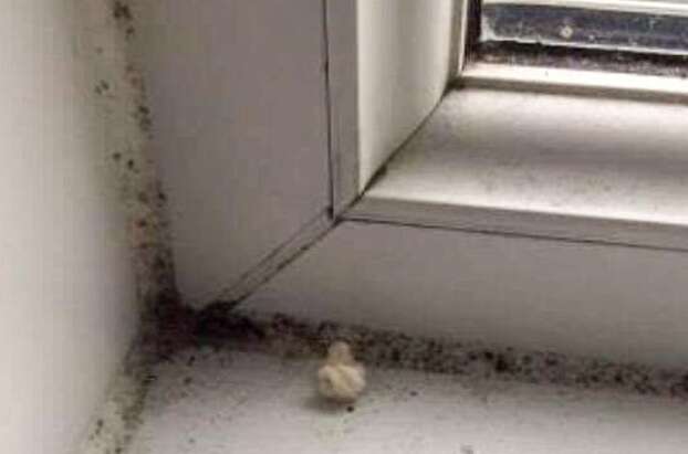 חלון מטונף בבית המלון