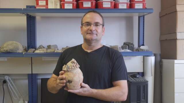 הכלי המסתורי שנמצא בחפירו תבתל צף // צילום: אוניברסיטת חיפה