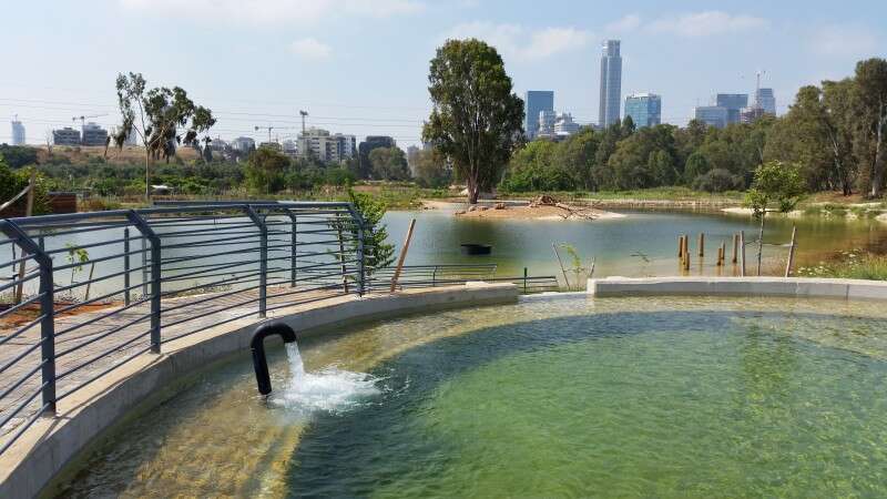 מערכת פילטרציה אקולוגית // צילום: יואב ספאחי