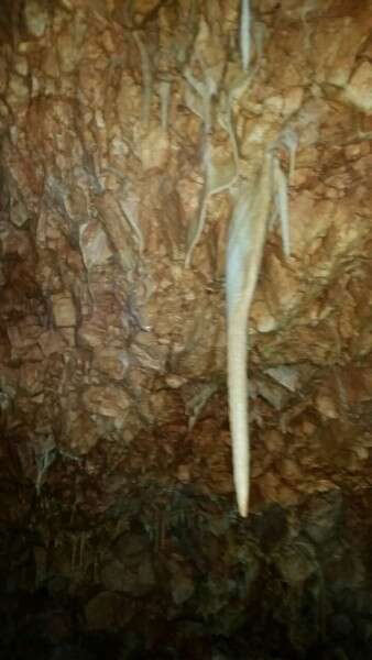 לא תפתח לציבור בזמן הקרוב // צילום: שי קורן – רשות הטבע והגנים