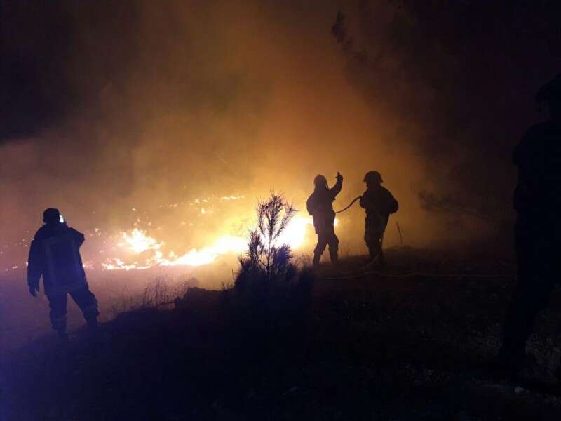 כבאים פלשתינים נלחמים באש בשער הגיא // צילום: לילך שובל