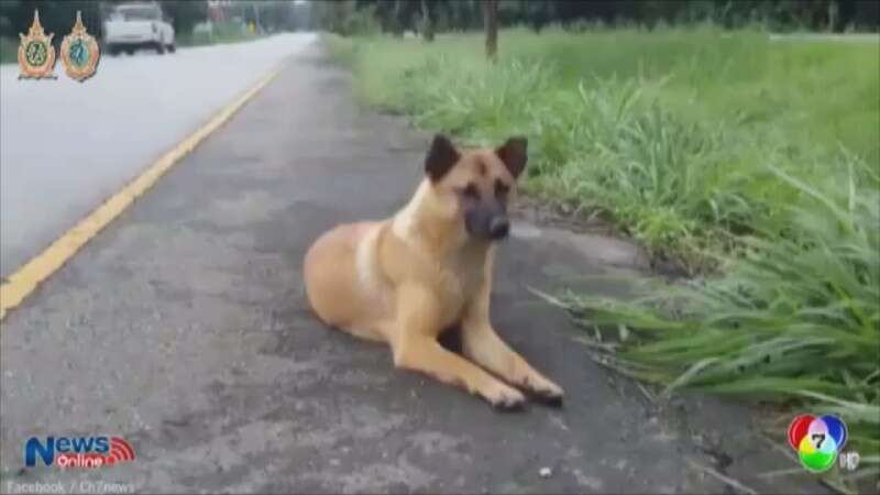 לונג לא הסכימה לבוא עם מישהו אחר וחיכתה לבעליה // צילום: מתוך יוטיוב