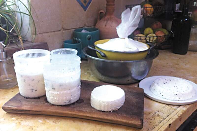 מזיזים את הגבינה שלכם. חמדתיה