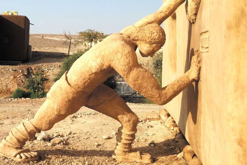 אקולוגיה בוצית בערבה, ימי מדבר // צילום: רינת בשן