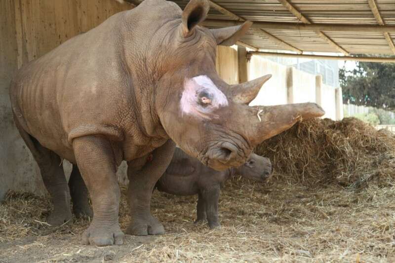 אם ובנה // צילום: גדעון מרקוביץ'