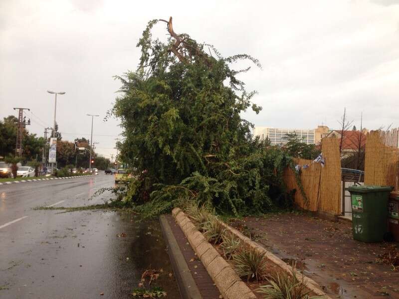 ממזקי הסופה, רעננה הבוקר // צילום: עמי שומן