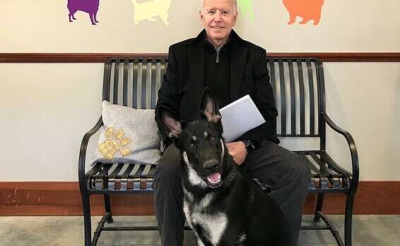 Joe Biden et le chien major // Photo: sur Twitter de Biden