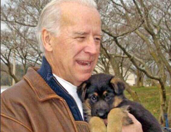 Biden et le chien Major à l'époque où il était chiot, après l'adoption // Photo: Twitter