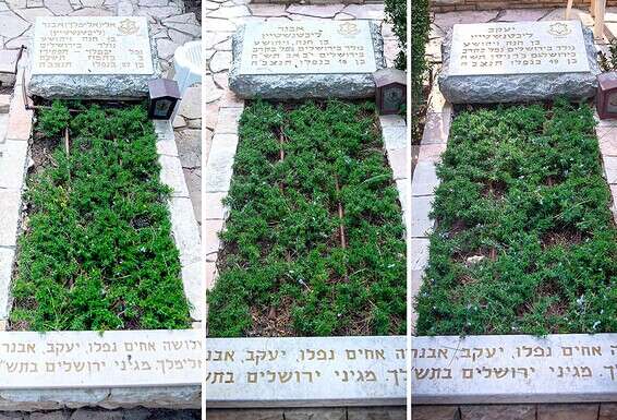 "אין מחיר יותר גבוה". קבריהם של יעקב, אבנר ואלי ליכטנשטיין בהר הרצל // צילום: אורן בן חקון