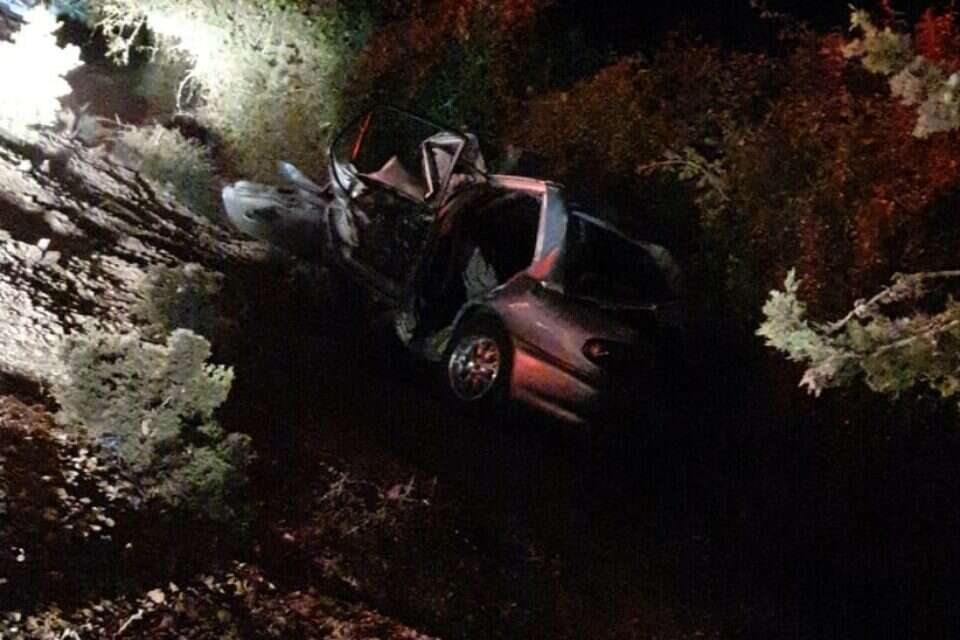 תאונת הדרכים בצפון
, דור וקנין/ תיעוד מבצעי מד"א