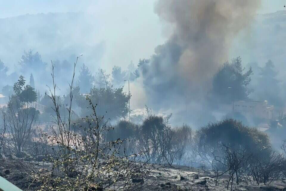 השריפה בחורש בצור הדסה , צילום: כבאות והצלה מחוז ירושלים