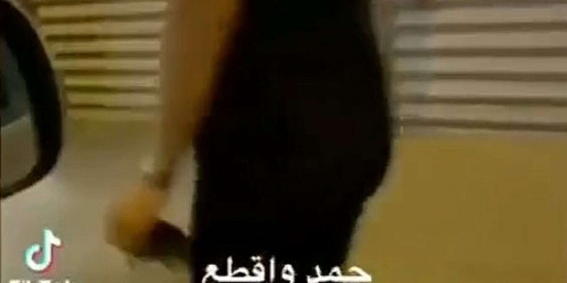 צילום מסך מתוך הסרטון , רשת טיקטוק