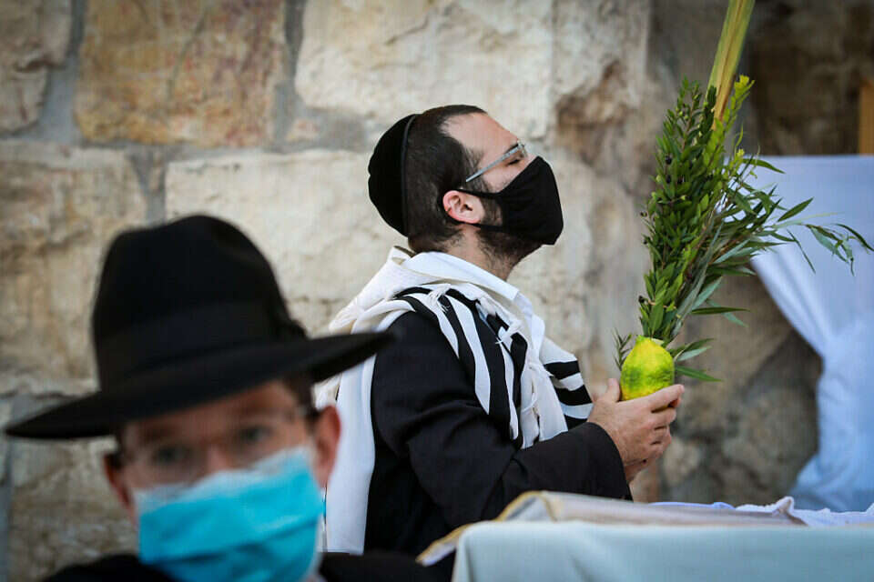 מברכים על ארבעת המינים בסוכות , אורן בן חקון