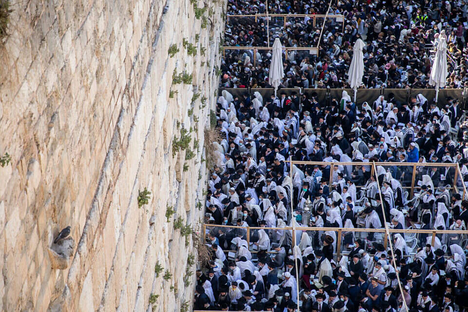 מעמד ברכת הכוהנים בכותל המערבי (ארכיון) , יונתן זינדל