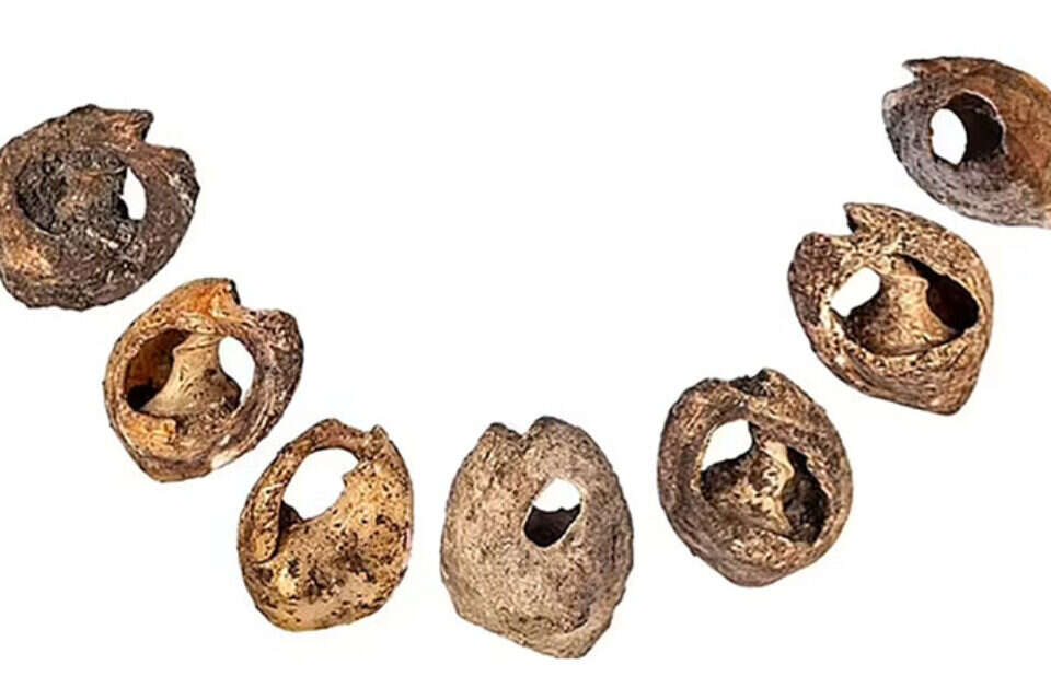 150,000 years old The oldest jewelry in the world was discovered