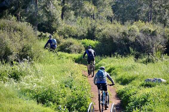 גם טיולים פחות ממולצים בחום // צילום: גרי אברמוביץ'
