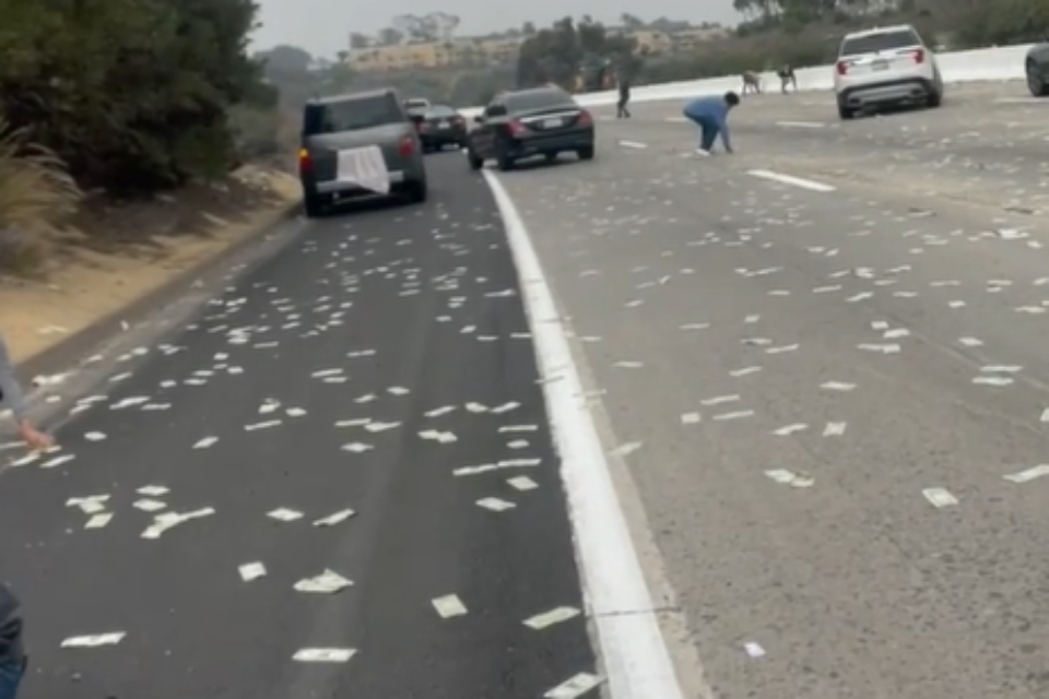 הכסף שאותר על הכביש בקליפורניה , מתוך סרטון אינסטגרם