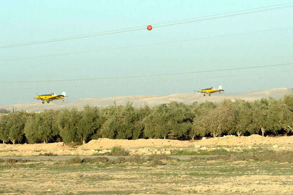 אזור משאבי שדה , דודו גרינשפן