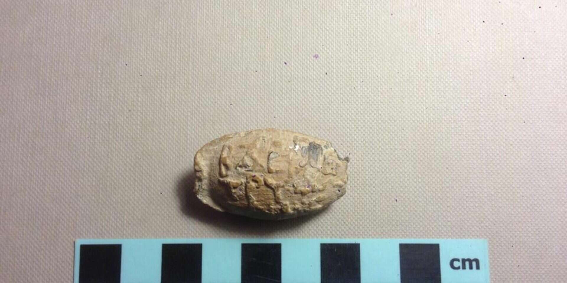 קלע העופרת שנמצא בחפירות ביהודה ושומרון , באדיבות מתאם פעולות צה"ל בשטחים