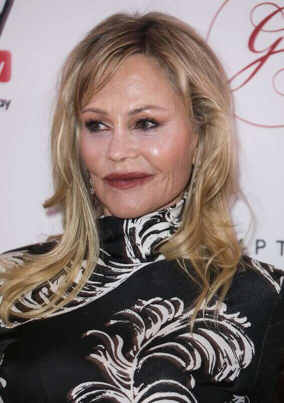 גריפית כיום // צילום: גטי אימג'ס