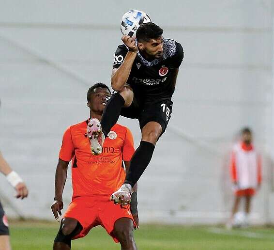 צילום: אלן שיבר