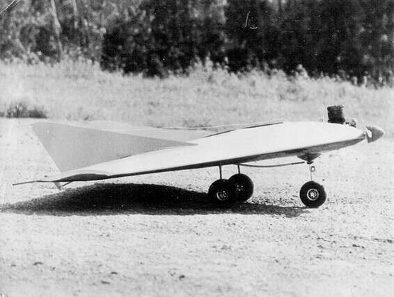 דאון עם מצלמה // צילום: מתוך אתר צה"ל