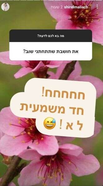 מתוך האינסטגרם של אלמליח