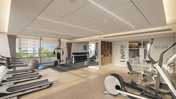 הדמיות: 3Dvision