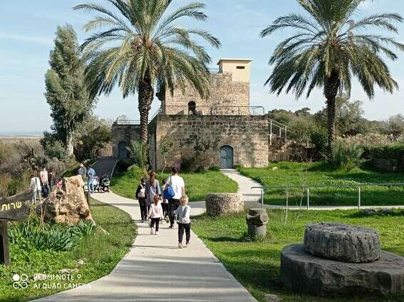 מטיילים במקורות הירקון // צילום: רשות הטבע והגנים