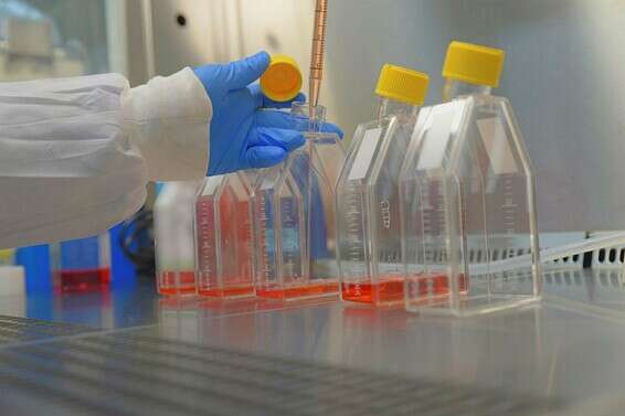 הכנת הניסוי לחיסון לנגיף הקורונה, במכון הביולוגי, בראשון // צילום: דוברות משרד הביטחון