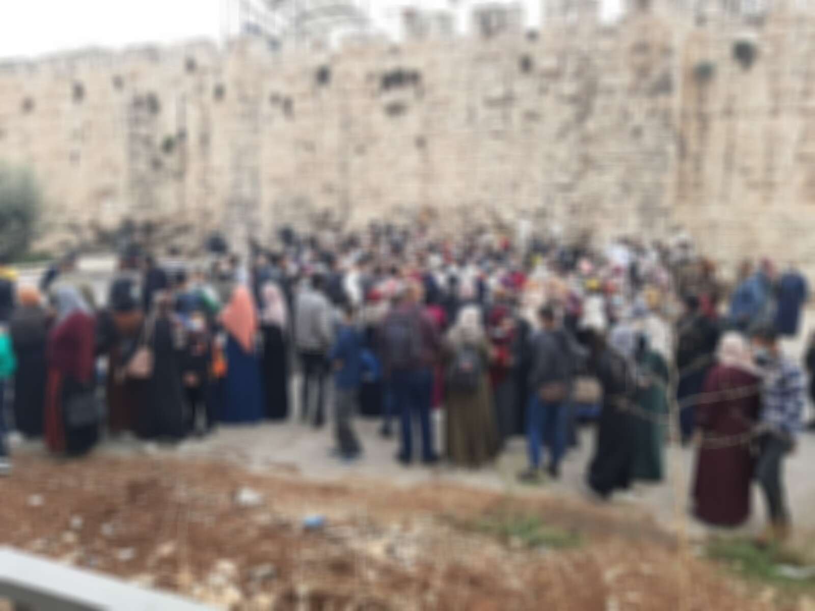 פלשתינים שנעצרו בדרך להר הבית // צילום: דוברות המשטרה // פלשתינים שנעצרו בדרך להר הבית ,