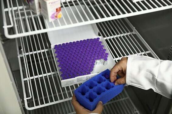 מבצע החיסונים בעיצומו // צילום: מישל דוט קום