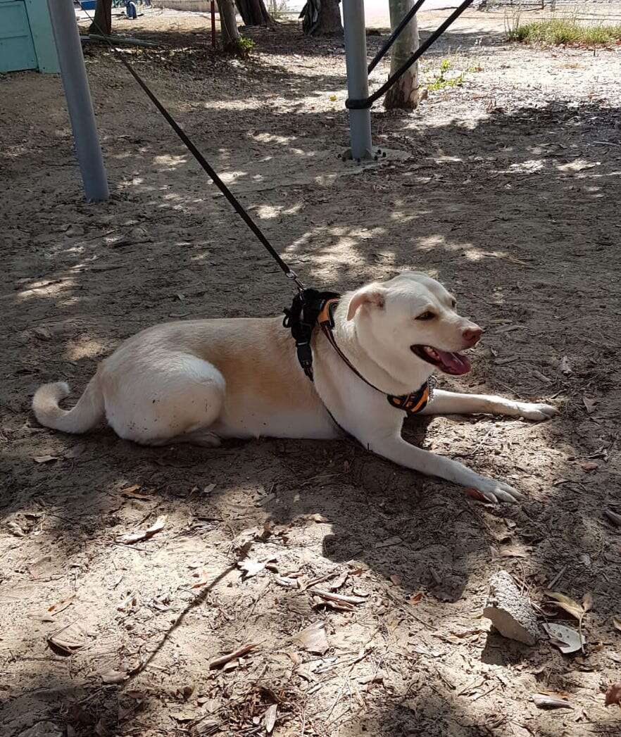 ,
