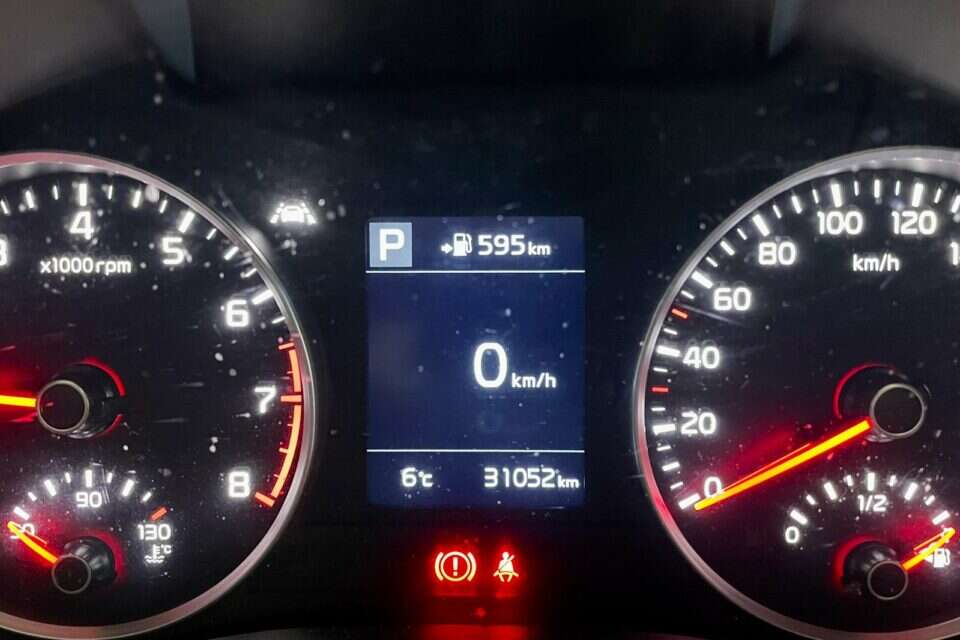 מזג האוויר קר במיוחד , הרצי שפירא