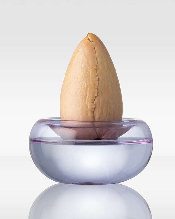 עיצוב: הילה שמעיה //צילום: עידו עדן