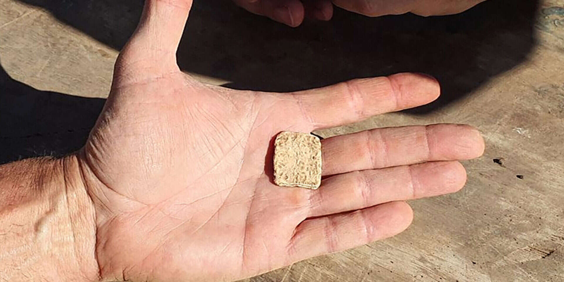הקמע שנמצא , רועי חדי