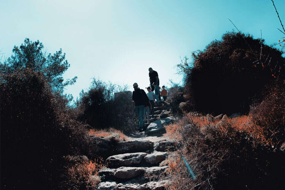 , דויד פרץ