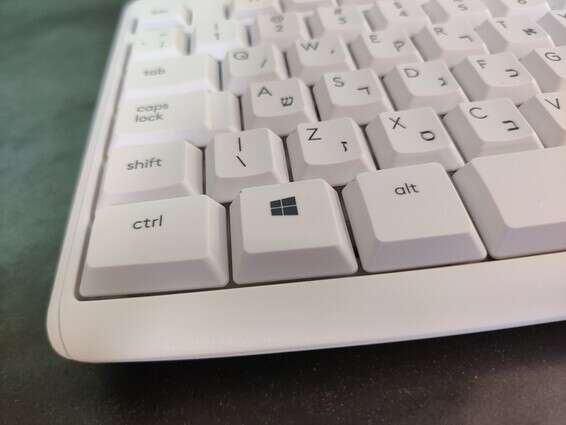 צילום: אהוד קינן