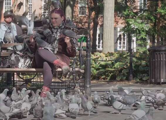 אין לו מושג מה הוא הולך לצלם. "המדריך לחיים בניו יורק"