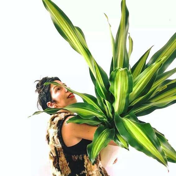 רינת טל, פלנט סטיילרית, תואר שני בלימודי הסביבה, אוניברסיטת תל-אביב //צילום: הדר דולן